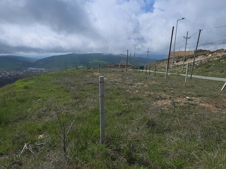 Torpaq - Şamaxı - 12 sot