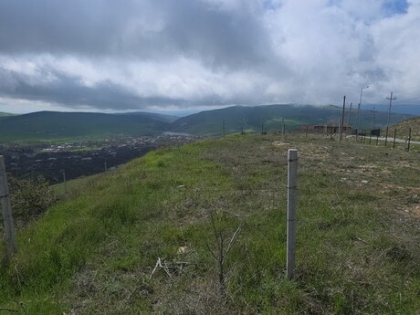 Torpaq - Şamaxı - 12 sot