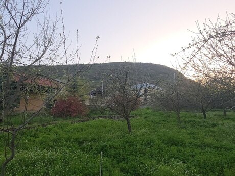 6 otaqlı həyət evi/bağ evi - Şamaxı - 200 m²