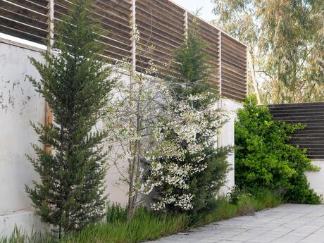 6 otaqlı həyət evi/bağ evi - Mərdəkan q. - 160 m²