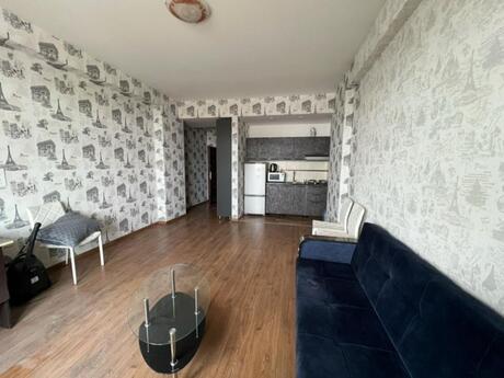 1-комн. новостройка - м. 20 января - 50 м²