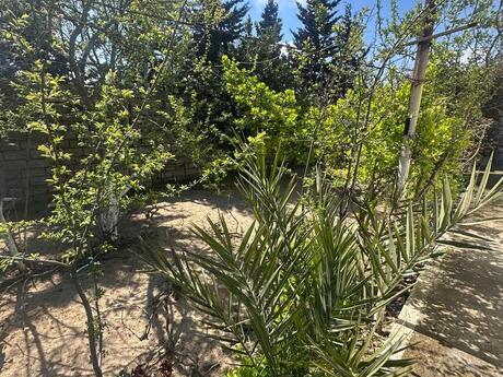 Объявление №6069308 - Баку, пос. Бильгях, 6 сот