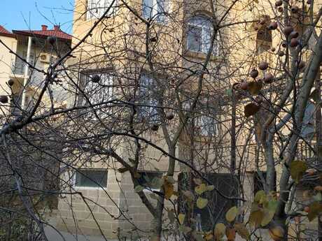 10 otaqlı həyət evi/bağ evi - Badamdar q. - 850 m²