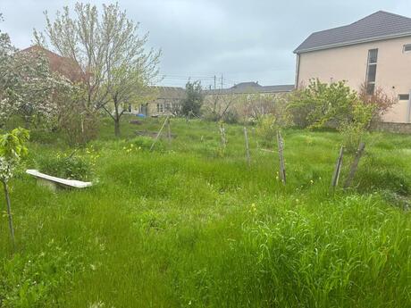 2 otaqlı həyət evi/bağ evi - Saray q. - 40 m²