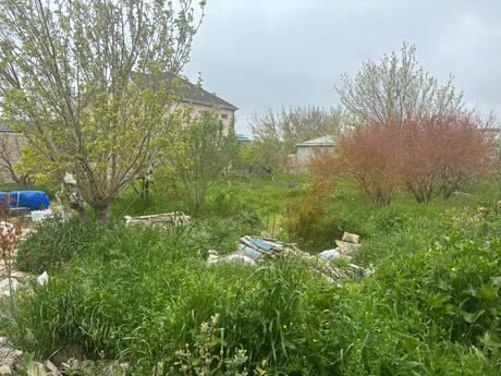 2 otaqlı həyət evi/bağ evi - Saray q. - 40 m²
