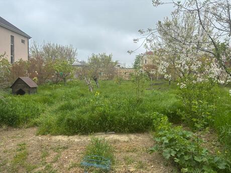 2 otaqlı həyət evi/bağ evi - Saray q. - 40 m²