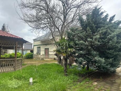8 otaqlı həyət evi/bağ evi - Novxanı q. - 230 m²