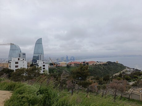 Объявление №6070306 - Баку, пос. Бадамдар, 85 сот