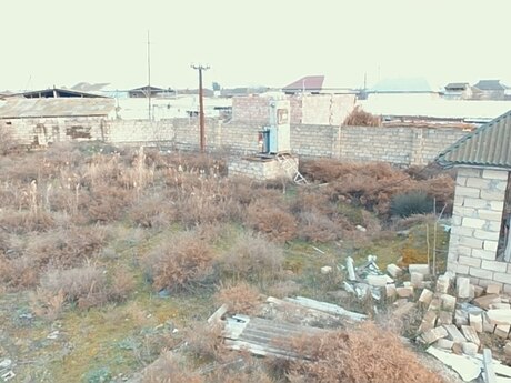 Torpaq - Salyan - 163 sot