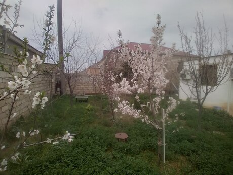 3 otaqlı həyət evi/bağ evi - Buzovna q. - 60 m²