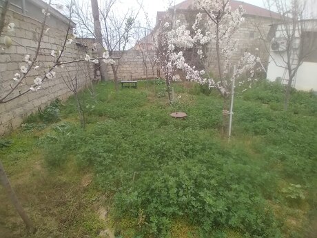 3 otaqlı həyət evi/bağ evi - Buzovna q. - 60 m²