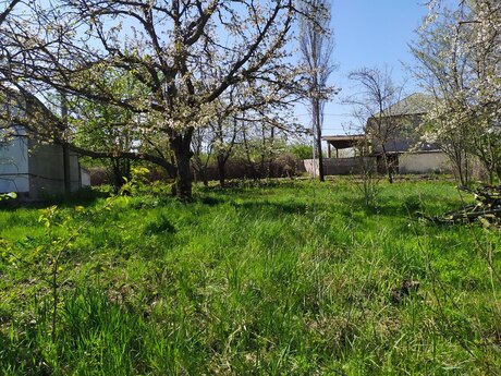 Torpaq - Xaçmaz - 8 sot