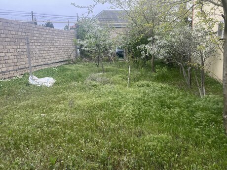 Torpaq - Qala q. - 4 sot