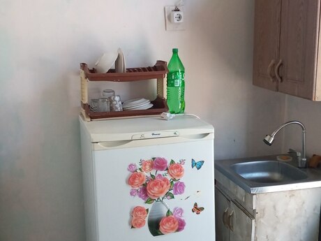 1 otaqlı həyət evi/bağ evi - Bakıxanov q. - 14 m²