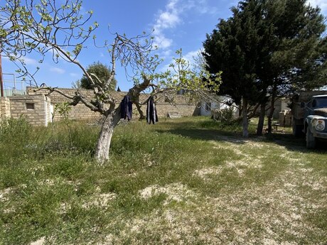 Объявление №6071450 - Баку, пос. Говсан, 7 сот