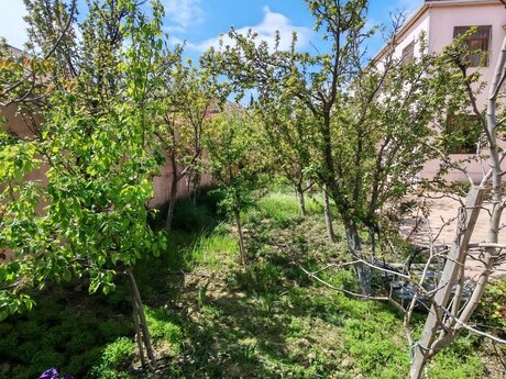 7 otaqlı həyət evi/bağ evi - Savalan q. - 243 m²