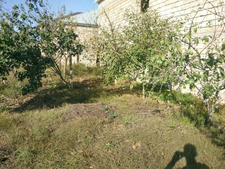 8 otaqlı həyət evi/bağ evi - Məmmədli q. - 350 m²
