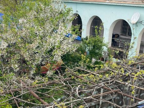 5 otaqlı həyət evi/bağ evi - Novxanı q. - 200 m²