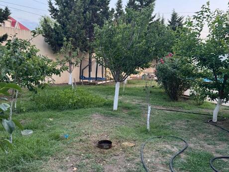 4 otaqlı həyət evi/bağ evi - Novxanı q. - 250 m²