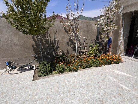 6 otaqlı həyət evi/bağ evi - Binə q. - 230 m²