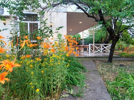 3 otaqlı həyət evi/bağ evi - Şəki - 85 m²