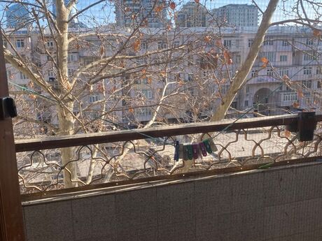 Объявление №6072222 - Баку, м. 28 мая, 3-комн., 110 м², 4/5 этаж