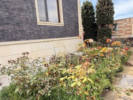 4 otaqlı həyət evi, 140 m², Qala: 165 000 ₼ 2