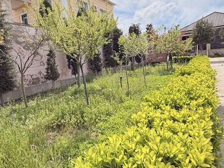 4 otaqlı həyət evi, 140 m², Qala: 165 000 ₼ 4