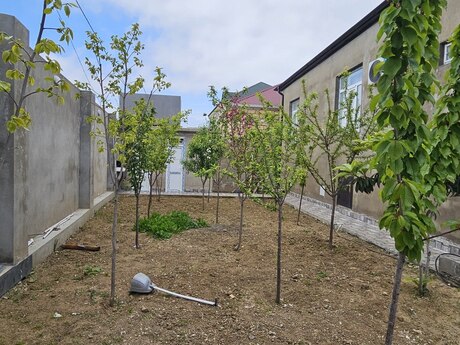 3 otaqlı həyət evi/bağ evi - Mehdiabad q. - 85 m²