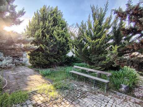 8 otaqlı həyət evi/bağ evi - Novxanı q. - 228 m²