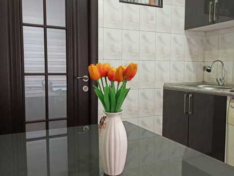2 otaqlı köhnə tikili - Nizami m. - 60 m²