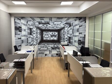 5 otaqlı ofis - Şah İsmayıl Xətai m. - 223 m²