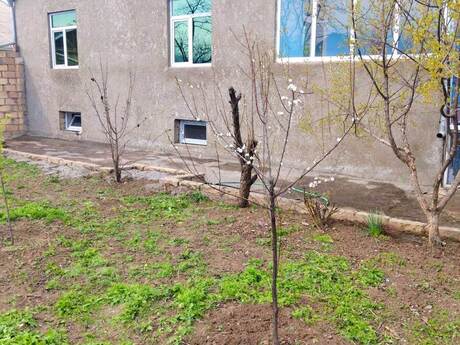 8 otaqlı həyət evi/bağ evi - Tərtər - 288 m²