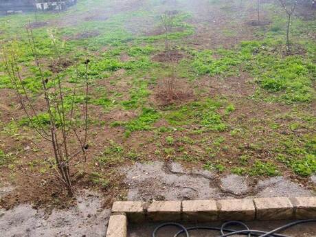 8 otaqlı həyət evi/bağ evi - Tərtər - 288 m²