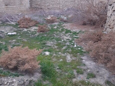 6 otaqlı həyət evi/bağ evi - Sahil q. - 200 m²