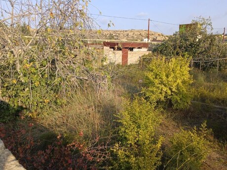 Elan №6073612 - Bakı, Sea Breeze q., 12 sot