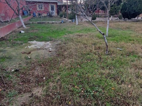 Torpaq - Maştağa q. - 6 sot