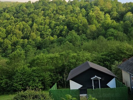 3 otaqlı həyət evi/bağ evi - Lerik - 45 m²