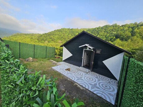 3 otaqlı həyət evi/bağ evi - Lerik - 45 m²