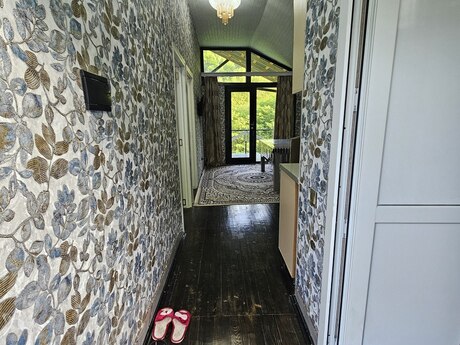 3 otaqlı həyət evi/bağ evi - Lerik - 45 m²