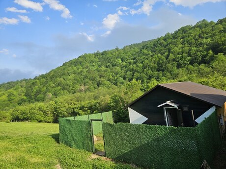 3 otaqlı həyət evi/bağ evi - Lerik - 45 m²