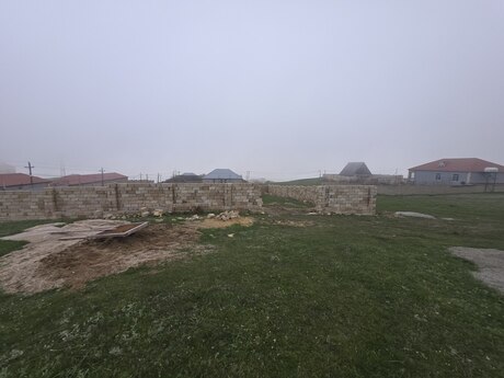 Torpaq - Şamaxı - 4 sot