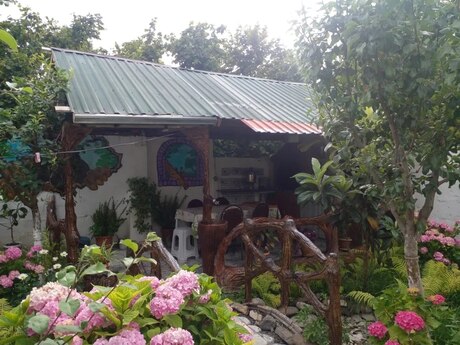 3 otaqlı həyət evi/bağ evi - Qax - 110 m²