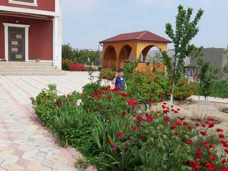 6 otaqlı həyət evi/bağ evi - Sabunçu r. - 240 m²