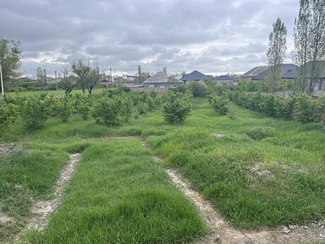 Torpaq - Xaçmaz - 4 sot