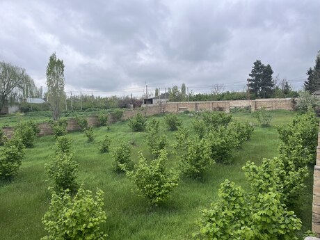 Torpaq - Xaçmaz - 4 sot