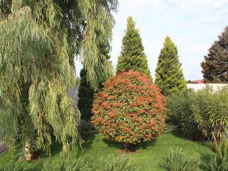 4 otaqlı həyət evi/bağ evi - Bilgəh q. - 161 m²