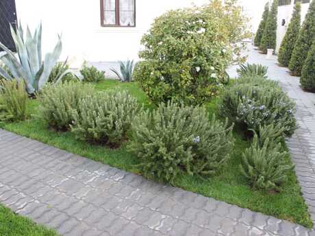 4 otaqlı həyət evi/bağ evi - Bilgəh q. - 161 m²