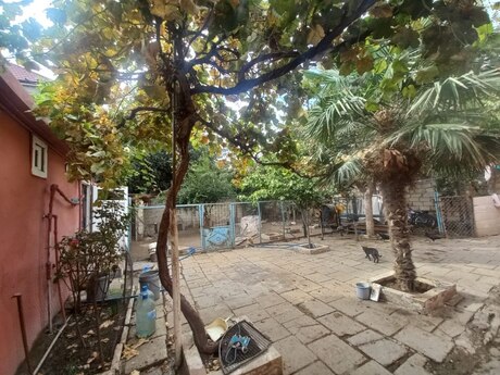 5 otaqlı həyət evi/bağ evi - Biləcəri q. - 140 m²