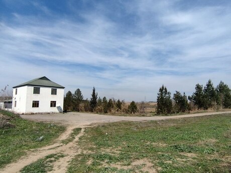 Torpaq - İmişli - 1600 sot